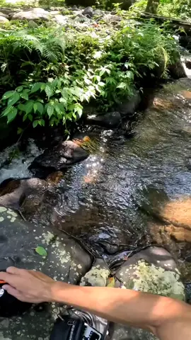 #lebakciherang #mtb #mtblife #gowes #kopi 