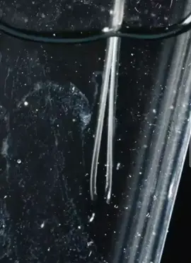 Close up view of a Humming bird's tongue with slow motion #interesting