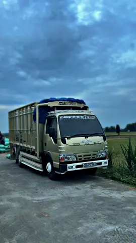 Koceng imut😋 #gabahbalap🌾 #trukgabah #fyppppppppppppppppppppppp #gabah #beras #udusahatani #usahatani #elfkucingwaningeyell #elfkucing #elfmacanmodifikasi #isuzuelfmania #elfmacangigaisuzumacan #herex #trukherexstyel #elfherex #herextiktok 