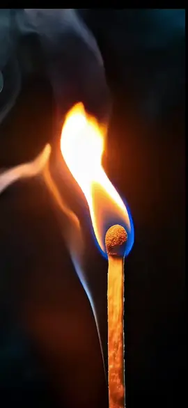 #fire #🔥 #livewallpaper #livewallpaper4k #壁紙4k #4kLiveWallpaperInTikTok #4kUltra #壁紙推薦#4klivewallpaper #livewallpaper8K #wallpaper #wallpapers #ライブ壁紙4K #8k #틱톡벽지#ផ្ទាំងរូបភាពផ្សាយបន្តផ្ទាល់4k #papeldeparedeaovivo #fonddécrananimé #hìnhnềnsống4k #живыеобои4k #아트월페이퍼 #5dlivewallpaper #zhivyye_oboi #خلفيةحية #動態壁紙 #wallpaperhidup4k #mobilelegends #живыеобои #живыеобоинателефон #wallpaperlive #hìnhnềnsống #MobileWallpaper #120fps #PhoneWallpaper #AestheticWallpaper #AnimatedWallpaper #wallpaperhidup4k #WallpaperArt #Xiomi #लाइववॉलपेपर4k 