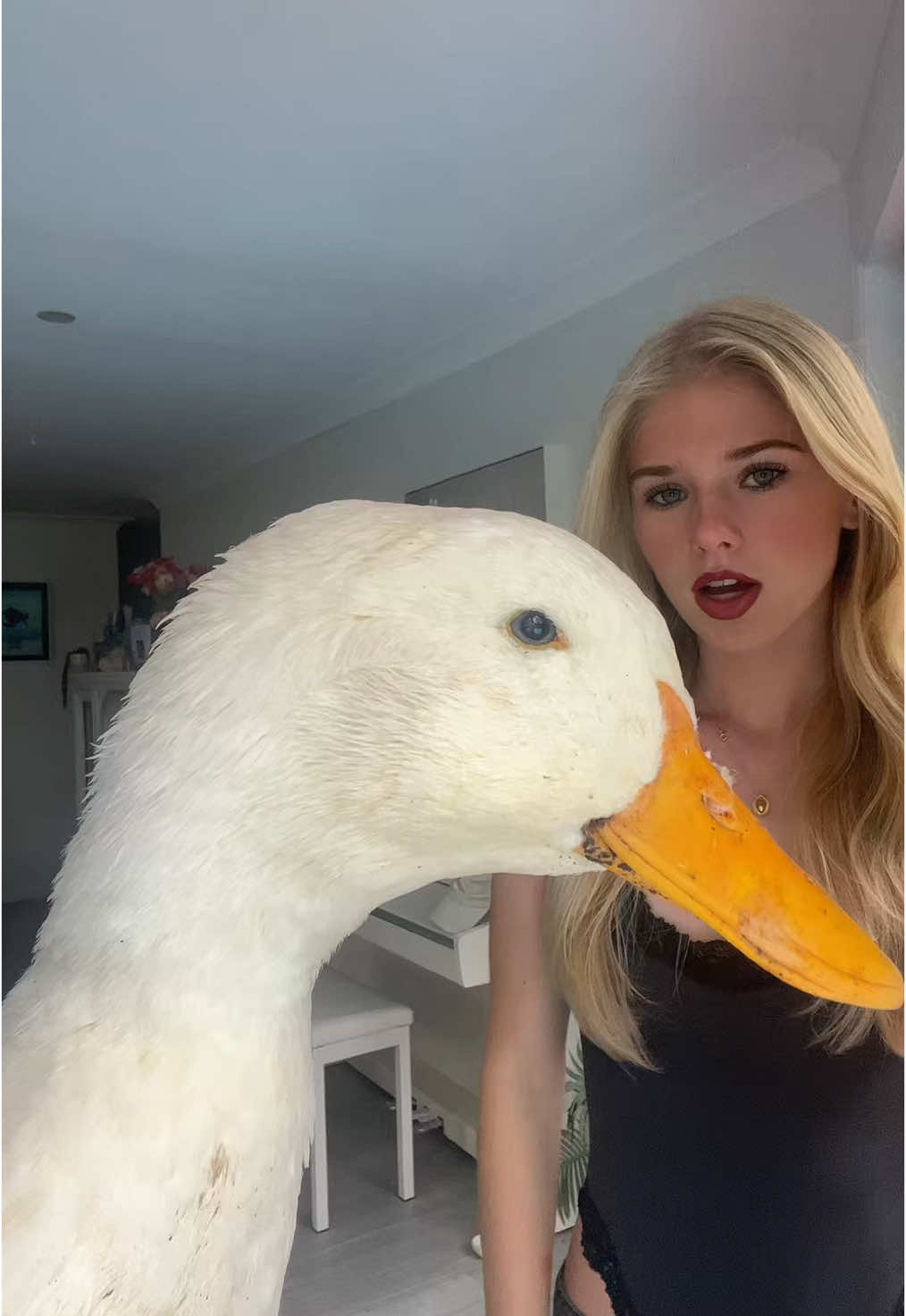 ducky #duck 