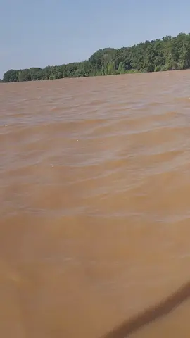 Omo river - wild boat trip, Ethiopia. Cruising the Omo river #omovalley #omoriver #ethiopian_tik_tok #ethiopian_tik_tok🇪🇹🇪🇹🇪🇹🇪🇹 #africa #boat #cruise #cruising #Vlog #travelvlog #trip #travel #destination #adventure 