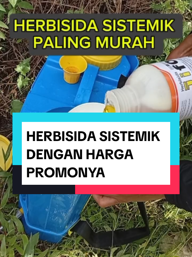 herbisida sistemik, pembasmi gulma, jifos 160 sl #herbisida #herbisidarumput #herbisidasistemik #herbisidamurah #pembasmigulma #pembasmigulmaampuh #jifos #jifos160sl #herbisidajifos 