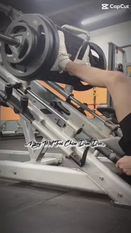 #🏋🏋🏋 