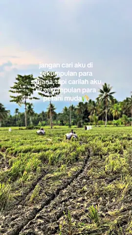 semangat para petani#fyppppppppppppppppppppppppppppp #katakata #motivasi #taksigabah #ilmupadi🌾 #fouryou 