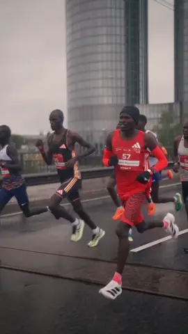 p.alvarezfilms (ig) #Running#kenya#race#marathon#marathonrunner#athlete 