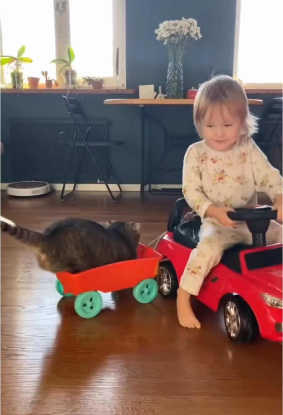 Cat playing with a baby ❤️❤️❤️ #baby #cat #cute #Love #fyp 