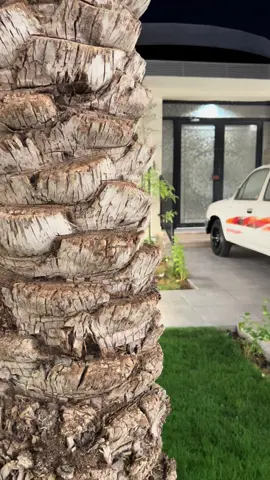 ٢٠٠٤ خليجي💥 #explore #اكسبلور #تايوتا #نصب #هايلوكس #غمارتين #البازعي #غمارة  