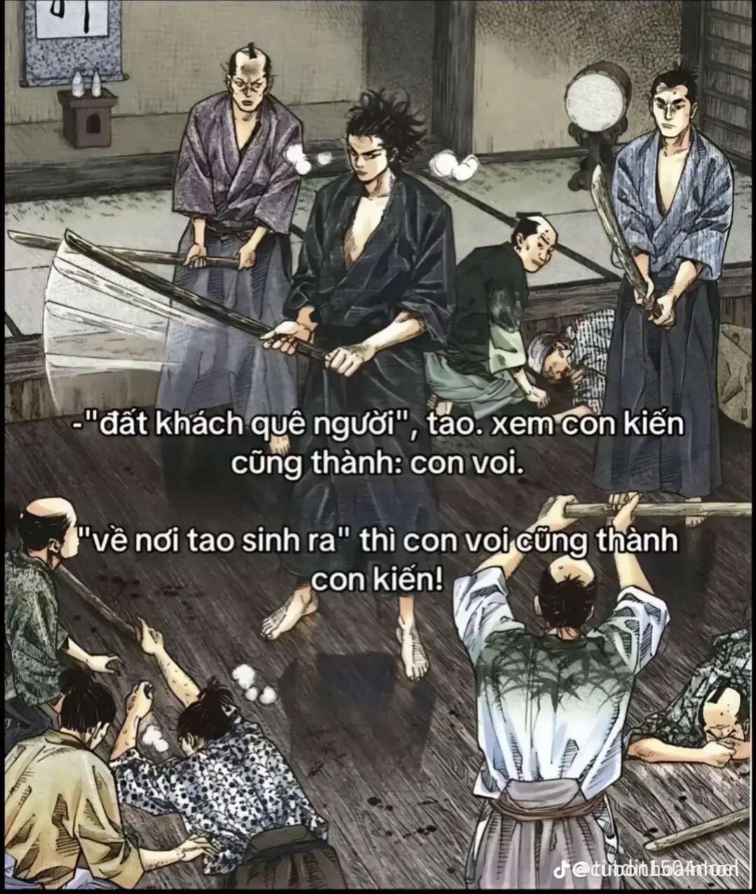 Rừng nào hổ đấy.#xh #luotxemtiktok #danglai #tim #xhtiktok #hongkong 