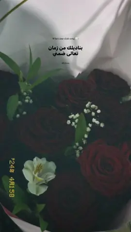 #fyyyyyyyyyyyyyyyyyyy #fybシ #عمرو_دياب #تامر_عاشور #رامي_صبري #حالات#حالات_واتس_اب #استوريات #استوريات_انستا_واتساب #اكسبلور #explore #foryoupage 