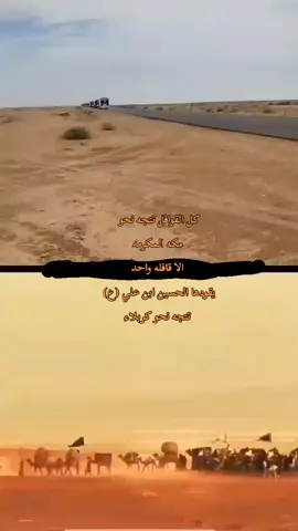 ميت هلا بذولي المجبلين 😔💔 #يالله #يالله_ارحمنا_برحمتك_ياارحم_الراحمين #زياره_الاربعين #محرم_عشوراء #كربلاء_العشق #كربلاء_كرب_وبلاء #ياحسين #ياعباس 