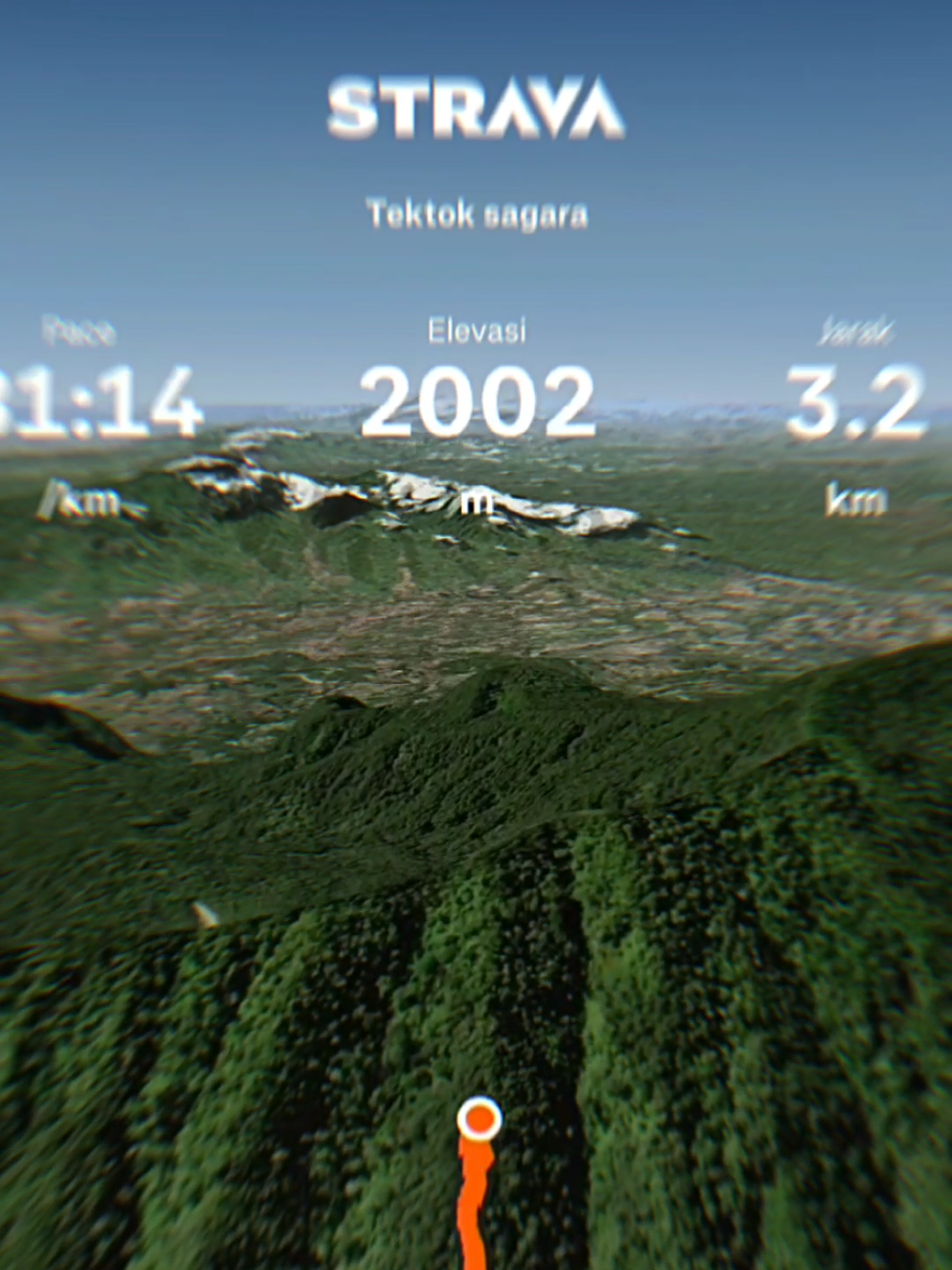 sagara kecil kecil cabe rawit 🤪 #creatorsearchinsights #gunungsagaragarut #explorejawabarat #pendakiindonesia #capcut #fypシ゚ #fyppppppppppppppppppppppp #strava #gunungjawabarat 