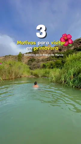 ✨ ¿Buscas un destino diferente en la Región de Murcia? Hoy te doy 3 razones irresistibles para perderte por su noroeste… 🌿💙 1️⃣ Pozas de agua turquesa: Naturales, cristalinas y con un encanto difícil de describir. Un rincón secreto donde el agua azul se mezcla con la tranquilidad absoluta. 2️⃣ Aldea de Los Odres: En el punto más alto de la Región de Murcia se esconde esta pequeña joya. Casitas de madera, vistas increíbles y un ambiente acogedor que te hará sentir en otro mundo. 3️⃣ Las mejores rutas primaverales 🌸: Caminos como la Sudamurciana o la de los Árboles del Amor te regalan paisajes únicos, aire puro y naturaleza en su máximo esplendor. ¿Ya tienes tu favorito? 🌄 Déjalo en comentarios y guarda este post para tu próxima escapada. #MurciaDesconocida #NoroesteMurciano #RutasConEncanto #PozasSecretas #escapadasdeprimavera 
