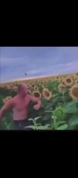 Plants vs Zombies #flower #fyp #foryou #song #prettylittlebaby 