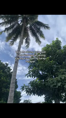 #fypシ゚ #highlight #foryopage #everyone #followers #fyyppppppppppp #trending #viralvideo 