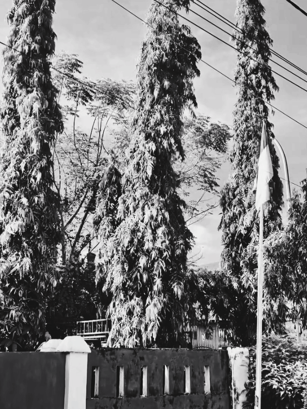 #fypgaknih #fypシ゚ #katakata 