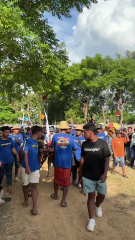 Alhamdulillah🙏 #fyp #fyppppppppppppppppppppppp #kerapansapimadura #Sapibalap #Madura #trending #madurapride #masukberandafyp 