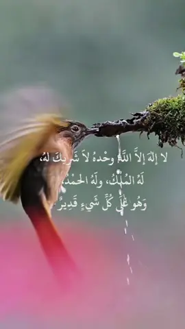#لاإله_إلا_الله  #اكسبلور 