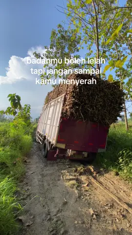 ndeyek boss😀#fyptruk #trukstory #fyppppppppppppppppppppppp 