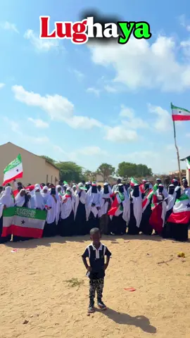 #awdal_borama #lughaya #xazanzheikh #Dalxiis #SomalilandTikTok #Dalxiis #borama #borama #DreamTourism #Somaliland 