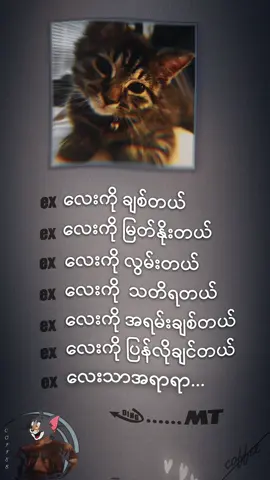 exလေးသာအရာရာ😁#ဒီတစ်ပုဒ်တော့fypပေါ်ရောက်ချင်တယ် #foryou #foryoupage #fpyシ #fp #fpy #fppppppppppppppppppp #ရောက်ချင်တဲ့နေရာရောက်ကွာ😍🤗🤗😅😅 
