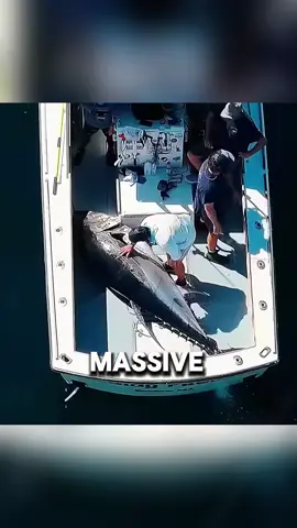 You won’t believe the size of this tuna! #foryou #fyp #tiktok #fun 
