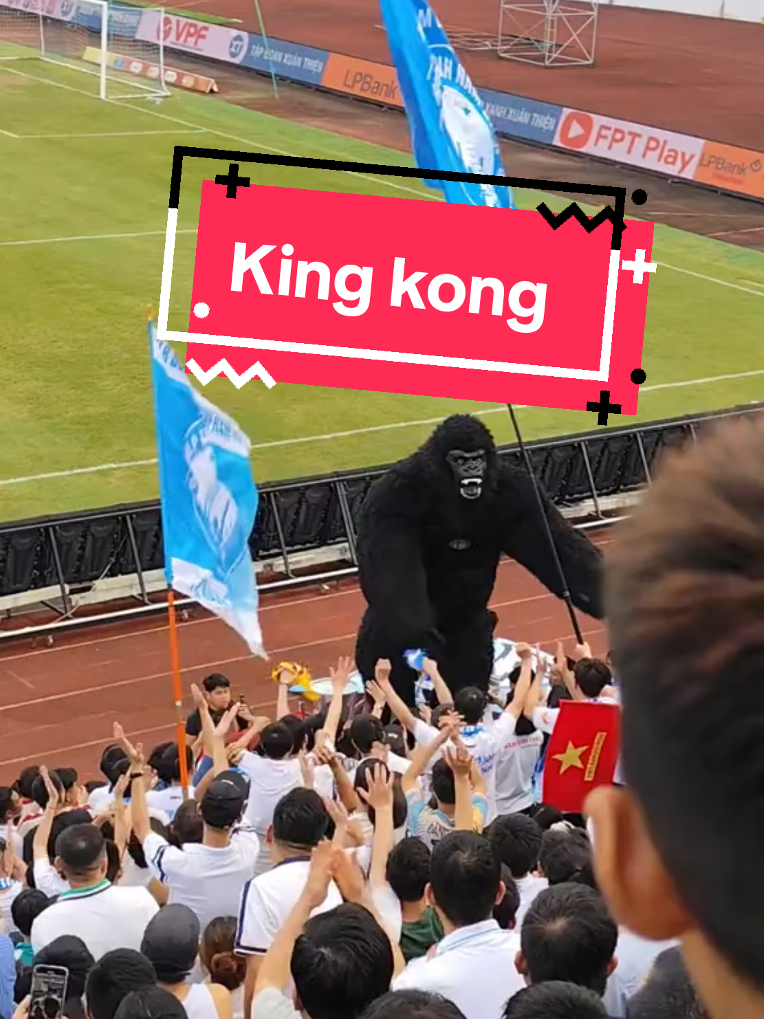Độc lạ Nam Định khi King Kong xuất hiện tại Thiên Trường CĐV Bóng Đá Nam Định #namdinhdoday 