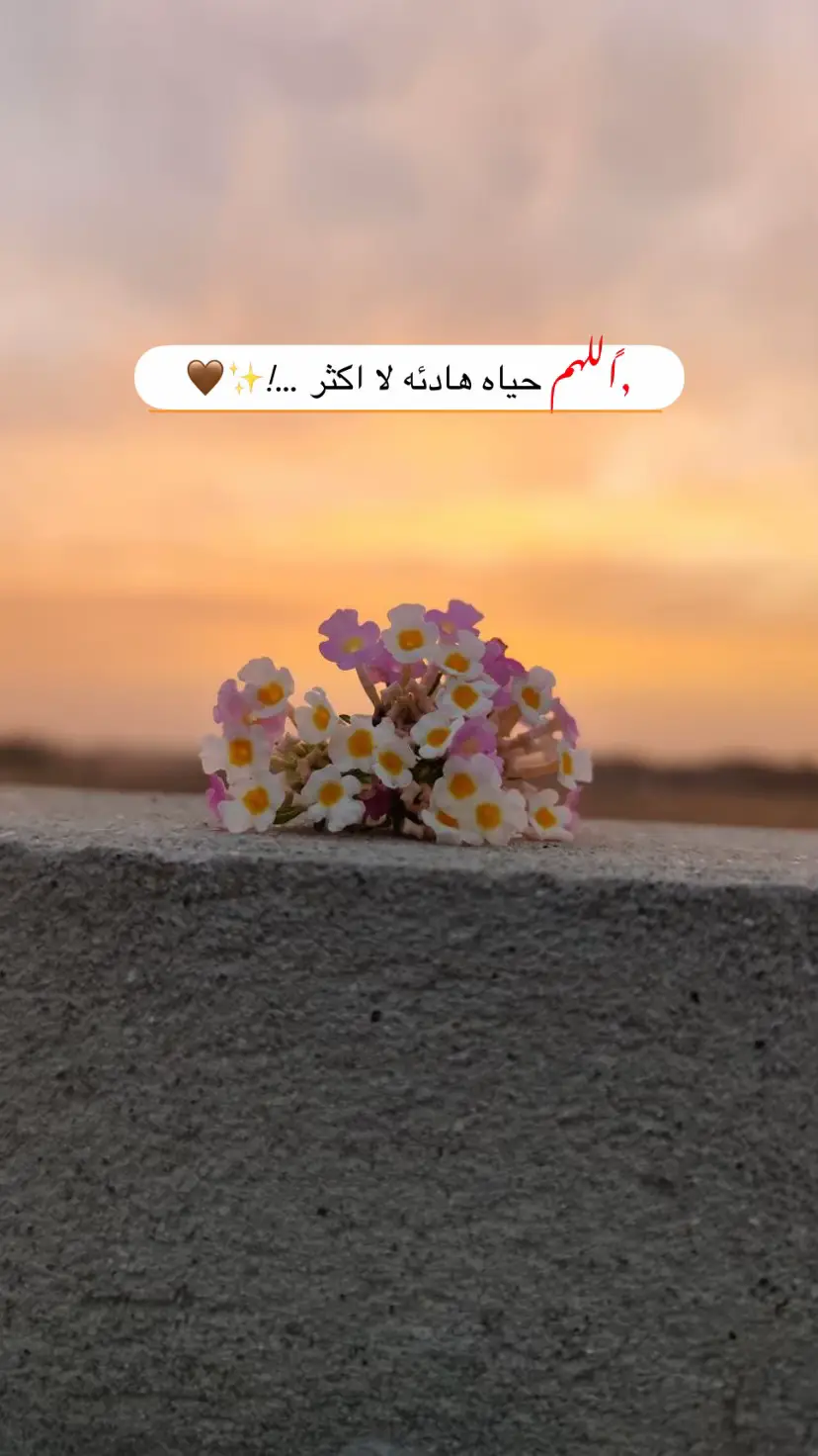 #الحمدلله_دائماً_وابداً #الحمدالله_علی_کل_حال❤ #قران_كريم #viral #fyp #viralvideo #fy #foryou  @ابـراهـيـم  @ِشہۛﹻﹷٰﹷﹻﹷٰهہۛﹻﹷٰﹷﹻﹷٰم  @قاسم 