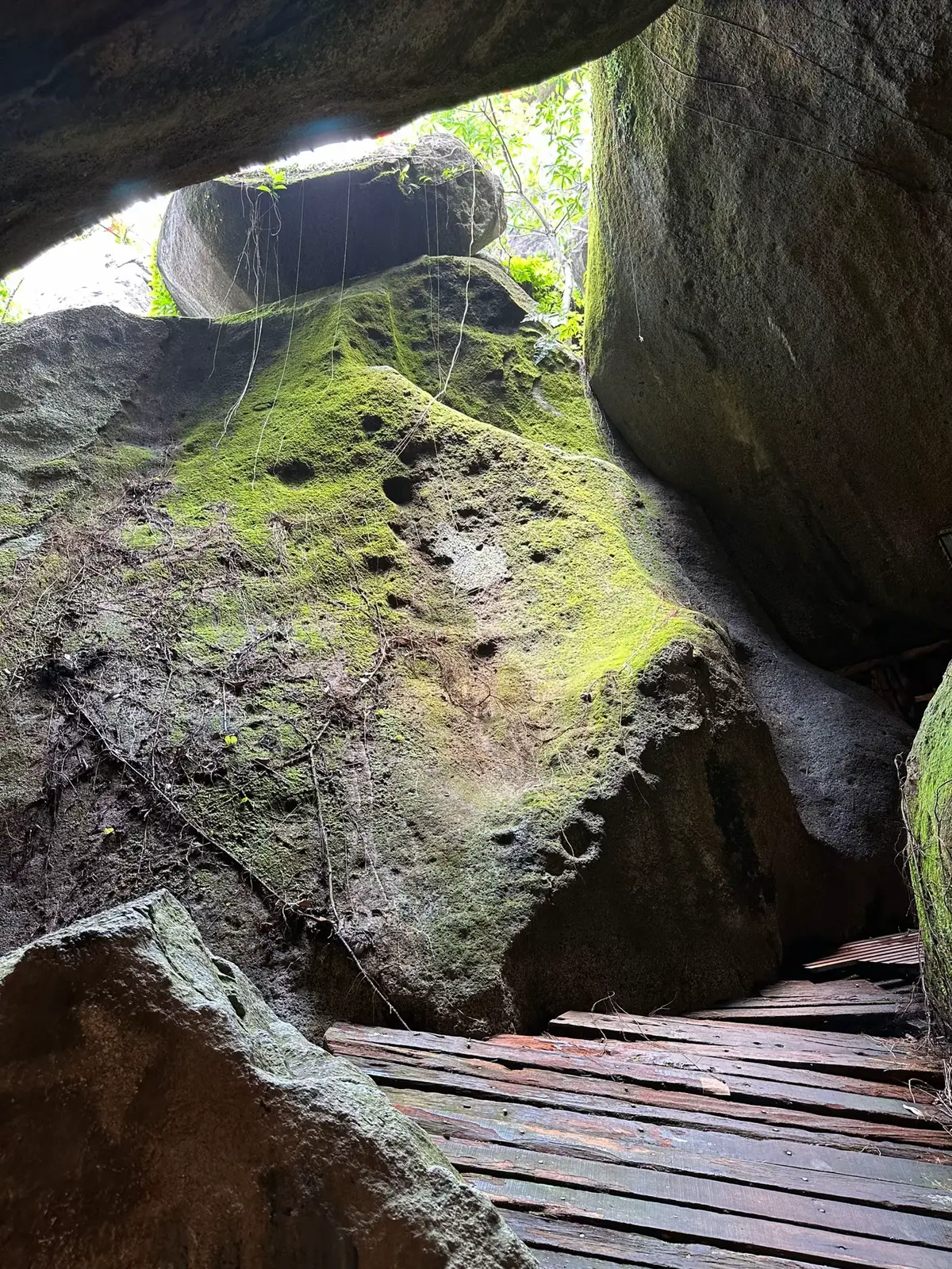 Túp dụp tri tôn 🥰 #khudulich #tupdup #angiang 