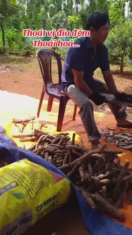 #thoatvidiadem #viemkhop #thoaihoacotsong #daulung 