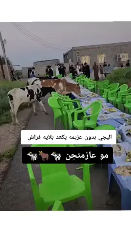 منوا هذني 🐄🫶😂😂😂😂#تحشيش #تصميم_فيديوهات🎶🎤🎬 #الشعب_الصيني_ماله_حل😂😂 