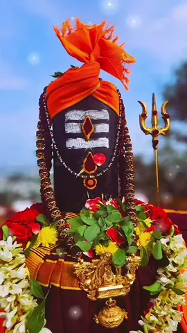 #thennadudaiya_shivane_potri #om #omnamahshivay #anbesivam #shivanirukabayamen #ellampugalumiraivanukke #blessed #thankyou #lordshivanblessing🕉🔱📿🌹 #mahdev🕉 #harharmahadev🙏🙏mahakaal #goodday #positivevibes #goodvibesonly 