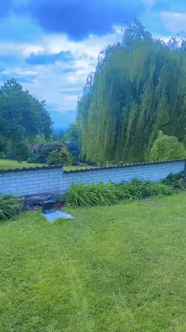 #ሀበሻቴክቶክ🇪🇹🇪🇹🇪🇹🇪🇹🇺🇸🇺🇸🇺🇸🇺🇸🇺🇸🇺🇸🥰🥰🥰😍😍😍 ##
