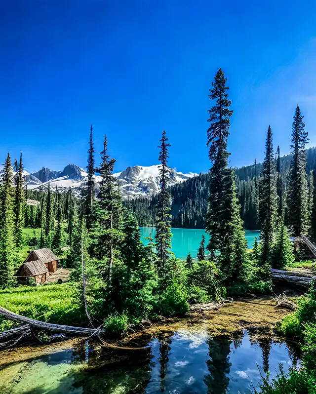 emang ada yg indah selain negara Swiss 🇨🇭 #swiss #beautyfull #pemandangan  #somebodypleasure🥀 #azizhendra #somebodypleasure #picture #fotohd📸 