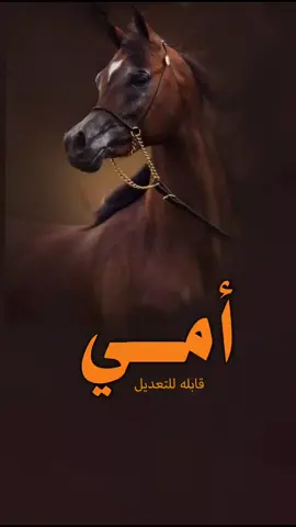 #شيلة_امي_يالغاليه_جنة_الكوني_شيله_امي_شيله_ياامي_شيله_مدح_امي_شيلة_امي 