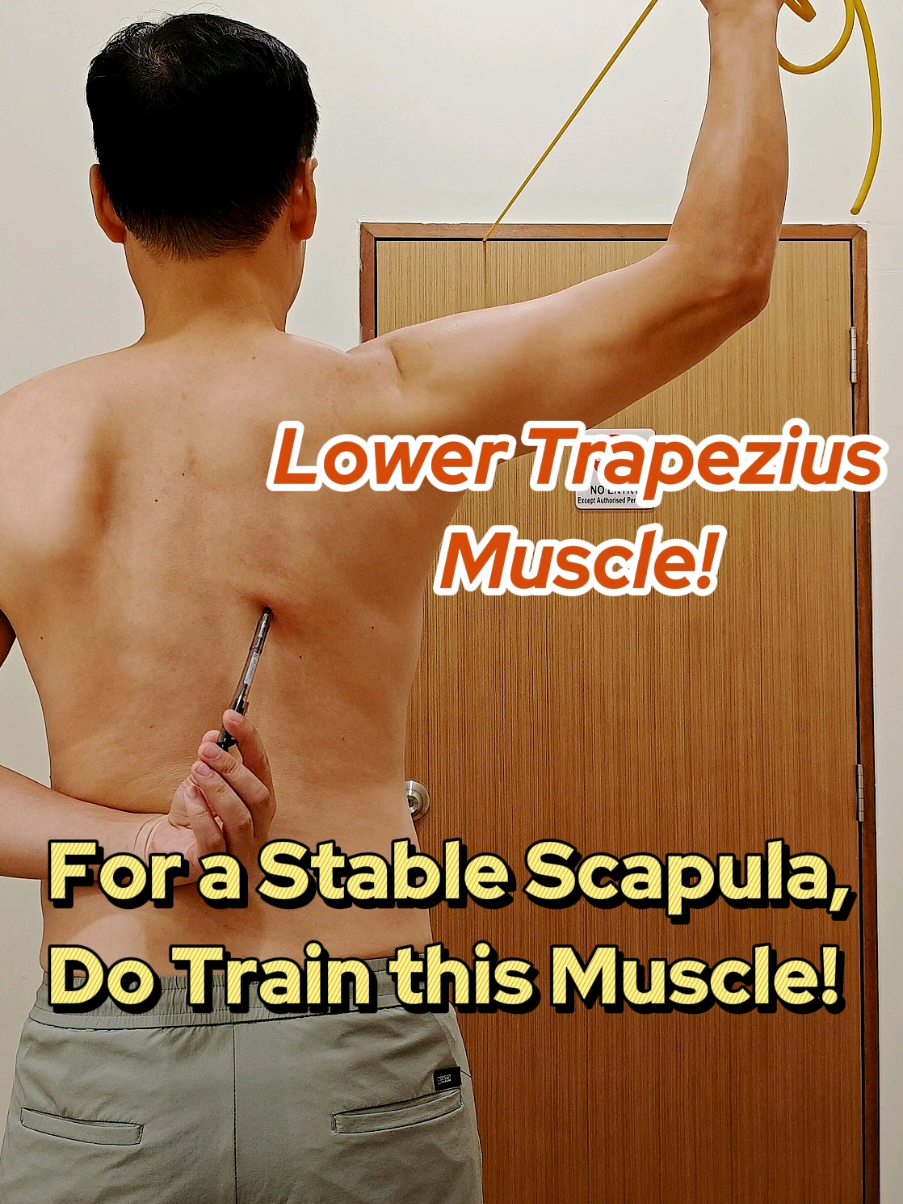 Why is this muscle so Important?! The lower Traps #lowertraps #scapularmobility #rotatorcuffinjury #shoulderpainexercises #physioleslie 