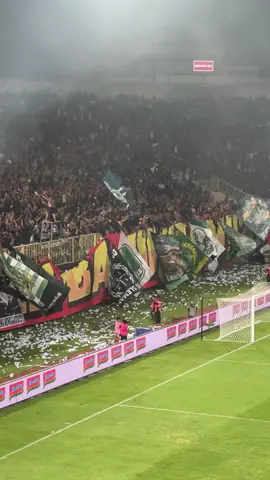 SUPER ELANG JAWA… RAYAKAN BERSAMA 🦅💚 #bcsxpss #psssleman #sleman #brigatacurvasud #bcs #yogyakarta 