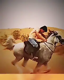 شفت لمه اصايل خيل لاكن تكسر الخاطر #محمدلفته_nrs9 #اكسبلورexplore 