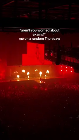 im dead! #domalabasdomasdzerudeniunelpogaisu #tylerthecreator #chromakopia #chromakopiatour #amsterdam 