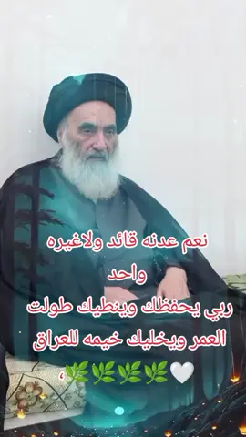 #سيدعلي_سيستاني_ربي_يحفظك #ياعلي_مدد #يافاطمه🙏اغيثينا #يازينب_يازينب_يازينب_يامولاتي💔🥺🤲 #الحشد_الشعبي_المقدس #ياصاحب_الزمان_ادركنا #العجل_یا_صاحب_الزمان #بغداد_بصرة_موصل_الكويت_الخليج_دبي 