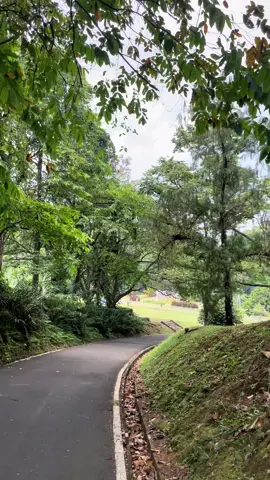 Ada yang pernah ke kebun raya bogor??  Bagaimana pendapat kalian?? Jjur sih adem banget seru 🍃🫶 #kebunrayabogor #bogor #bogorhits #bogorviral #bogorkotahujan #fyp #fypage 