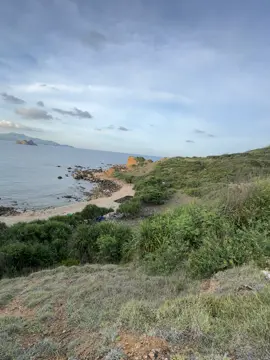 Nhìn trong ngọn gió tiếng em cười..