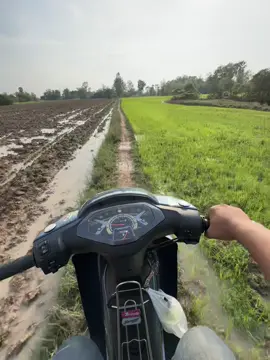 ទេសភាពបែបស្រុកស្រែ🥰❤️#បាភ្នំព្រៃវែងផ្ទះខ្ញុំ❤️♥️ #សេះខៀវ025💙 
