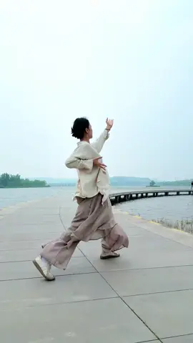 气贯长虹，意守太虚 #太极拳 #武术 #中华武术博大精深 #kungfu #usa 