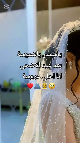 #انا_العروس_المنتظره💕🥺 #انا_العروس_المنتظره❤🥺👰‍♀️💍🤍  #عروسة_قلبو_المنتظرة👰‍♀️❤️ #عروسة_قلبو🥺🤍💍  #عروسة_يونيو👰🏻‍♀️❤️  #اناعروسة_ئلبو_المنتظرة🥺❤️ #عروسة_المنتظرة👰‍♀️ #انا_العروسة_المنتظره👰 #عروسة_2025👰🏻‍♀️🕊️ #عروسة_2025_انشاالله♥️👰‍♀️ #مدللة_قلبو_😌❤ #مدلل_قلبي🙈❤👑 #مدللة_خطيبي💍🥺 #اميرتو_المدلله👑🥺♥️ #خطيبي💍 #يخليلي_ياك_حبيبي_الله_يرزئك_وتيني❤ #وتيني❤️ #عوض_ربي_🧿🧿 #ربي_مايحرمني_منك_يا_اغلا_شي_عندي♡♡ #ستورياتي #شاركو_عمريہ💞 #منشن_للي_تحبه #تاغ_للحب🙊🖤🐼؟؟ #طلعوا_اكسبلورررر_وحطوا_لايك #مجرد____ذووووووق🎶🎵💞 #تصميمي❤️ #مدللة_البيت_ستغادره_عروساً🥺💍  #فراشة_البيت😄🙃😉🙂 #كبيرة_بيت_أهلي😌❤ #اول_عروس_بيت_اهلي_ #خطيبي_القلب_والروح💍 #خطيبي_حبيب_عمري❤️🔗 #خطيبي_حبيب_عمري❤️😌👑 #عشقي_ومعشوقي_يانبض_الروح♥️😘🥰 #انا_العروسة_المنتظره👰 #عروسة_المنتظرة👰‍♀️ #اناعروسة_ئلبو_المنتظرة🥺❤️ #الف_اية_فلق_؏َحبنهه🧿🥺 #الف_اية_فلق_؏ـلينا_من_أعينهم😌💙 #الله_يحمينا_من_عين_المحسادين #ختشيبي🤭 #وهيكااا🙂🌸 #وهيكا_يعني_🙂👍 #ابن_ئلبيييي🦋😩❤ #like_explore_fyyyp #fypシ゚viral #explore #اعادةنشر🔁 #تابعوني_رح_نزل_شي_جديد #CapCut#لما_يسئلوني_انتي_كنة_بيت_مين #كنة_الاولى_المدالله😌🌸بـنـت_الاصـۄل💛👑 #اول_كنة_لاهلو👰😌 #اول_كنة_لاهلو_وهو_اول_صهر_لاهلي #دلوعة_حماتي_واول_كناينها💙  #مدللة_حماتي😌 #الكنة_الاولى☺️😌🤍بيلبقلي_الدلال🥰زوجي_ادامك_الله_نعمة_في_حياتي😍💍❤ #فجرواااااكسبلوررررررر #عروسة_قلبو_المنظرا🙈🥺 #عروسة_قلبو🥺🤍💍 #قمر_العشق #قمر_مضيء #قمر_الحبة_النادرة #مدللة_قلبو_😌❤ #مدللة_قلبو_لخطيبي،💍♥️👑 #خطيبي_نظر_عيني_محتواي #خطيبي_تشاك #خطيبي_توأم_روحي❤💍😍 #للعقول_الراقية_فقط🤚🏻💙 #للعقول_الراقية_فقط🤚🏻💙للأسف_لا_أحب_التصنع #منشن_اللي_تحبه #شاركو_عمريہ💞 #شاركوالمنشور❤️ #ستوريات_حب #تصميمي❤️ 
