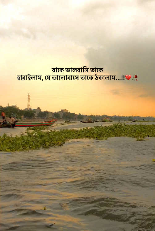 যাকে ভালবাসি তাকে হারাইলাম, যে ভালোবাসে তাকে ঠকালাম...!!💔🥀#foryou #Pe_yeasin55 