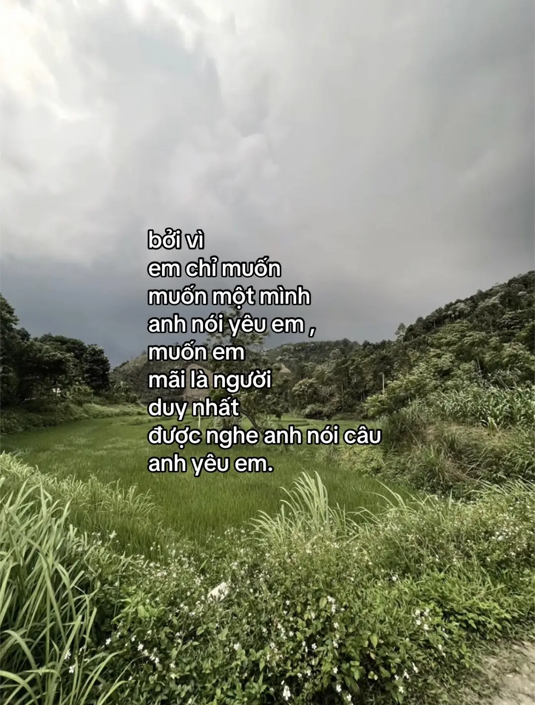 #chiyeuminhanh #fyp #viral #tiktokviral #xuhuong #xhuonggggg🐰 