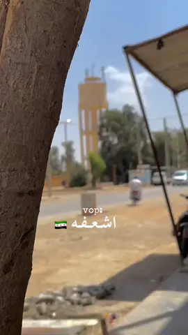 #لايكات❤️ #