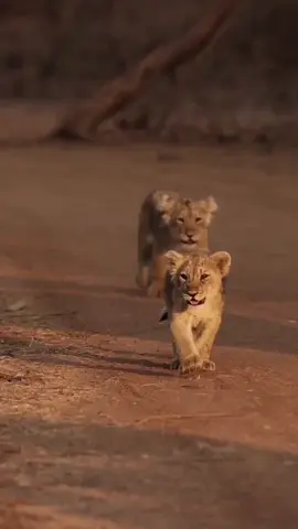 camina con los que te corrigen.. #friends #lealtad #paratiiiiiiiiiiiiiiiiiiiiiiiiiiiiiii #fly #fly #motivacion #crecimientopersonal 