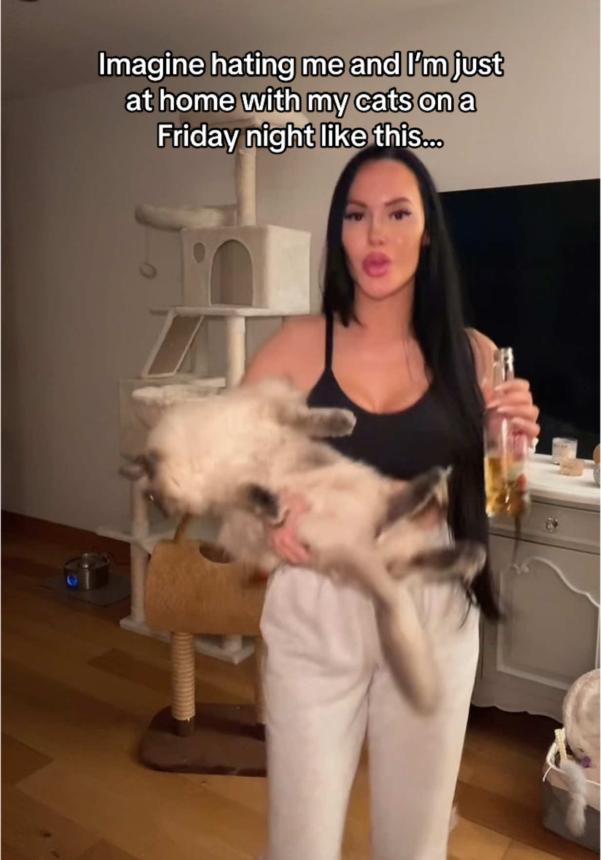 Imagine…  #trendingcat #cattok #catsoftiktok #viralcatvideos 